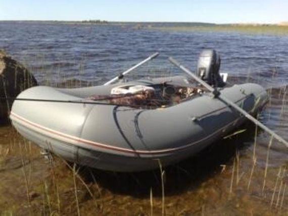 Надувная лодка Флагман 320