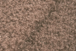 Букле Барбет 05