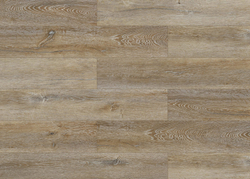 HW 02010 CORIANDER