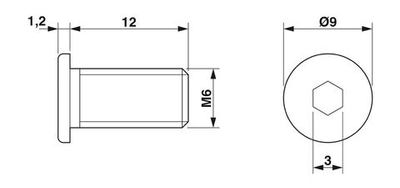 0807025 - ZKS M6X12 SW 3,0 - Винты