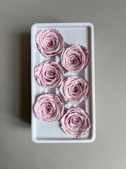 Роза классическая лавандово-розовая d=5 см (упак 6 шт)