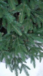 Ель искусственная «Смоленская» (Литая+пвх) 240 см / 2,4 м