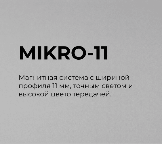 Трехфазная трековая система RAY-3