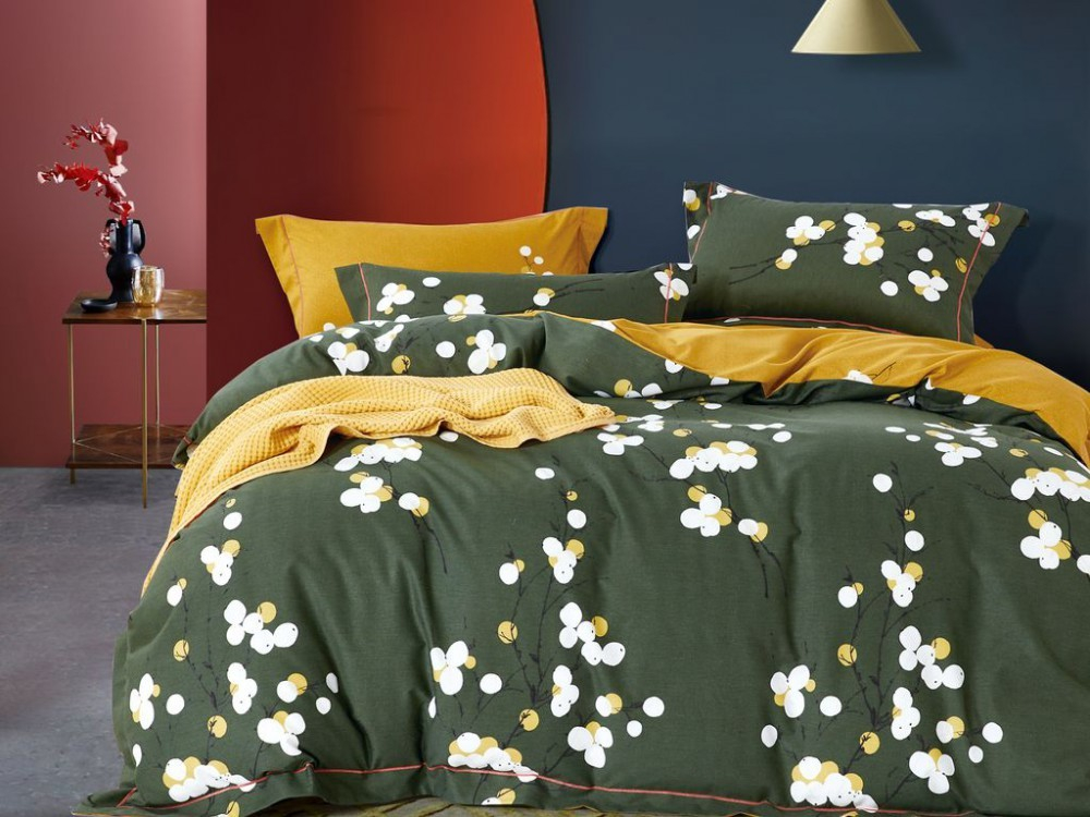 Постельное белье 2 спальное евро Asabella 1668-6