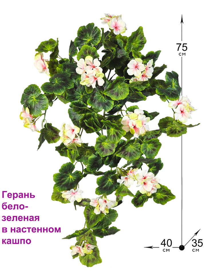 Искусственные цветы Герань ампельная бело-зеленая в настенном кашпо