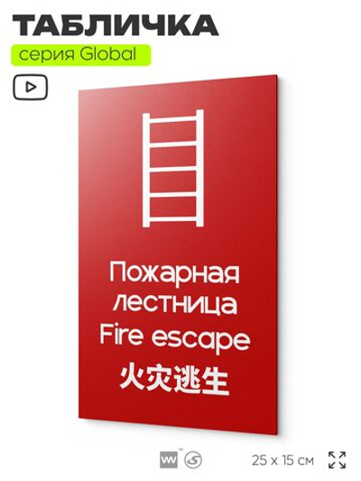 Табличка Пожарная лестница, на дверь и стену, информационная и мультиязычная (русский, английский, китайский), серия GLOBAL, 25х15 см, Айдентика Технолоджи