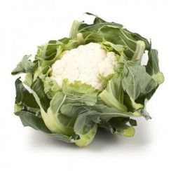 КАСПЕР РЗ F1 семена капусты цветной (Rijk Zwaan | Alexagro)