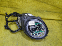 DSCN7347.JPG