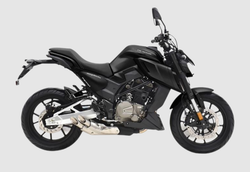 Мотоцикл Regulmoto ALIEN MONSTER 300 (Черный)