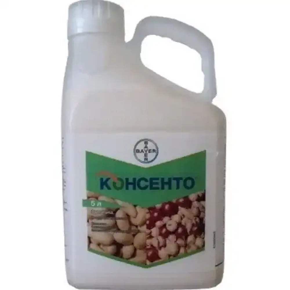 Консенто, КС