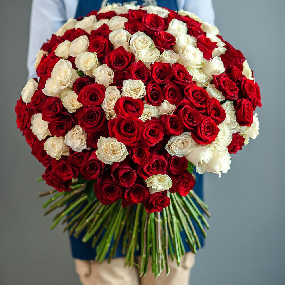 Букет из 151 красной розы Premium