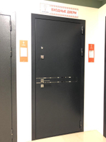 Дверь входная Горизонталь