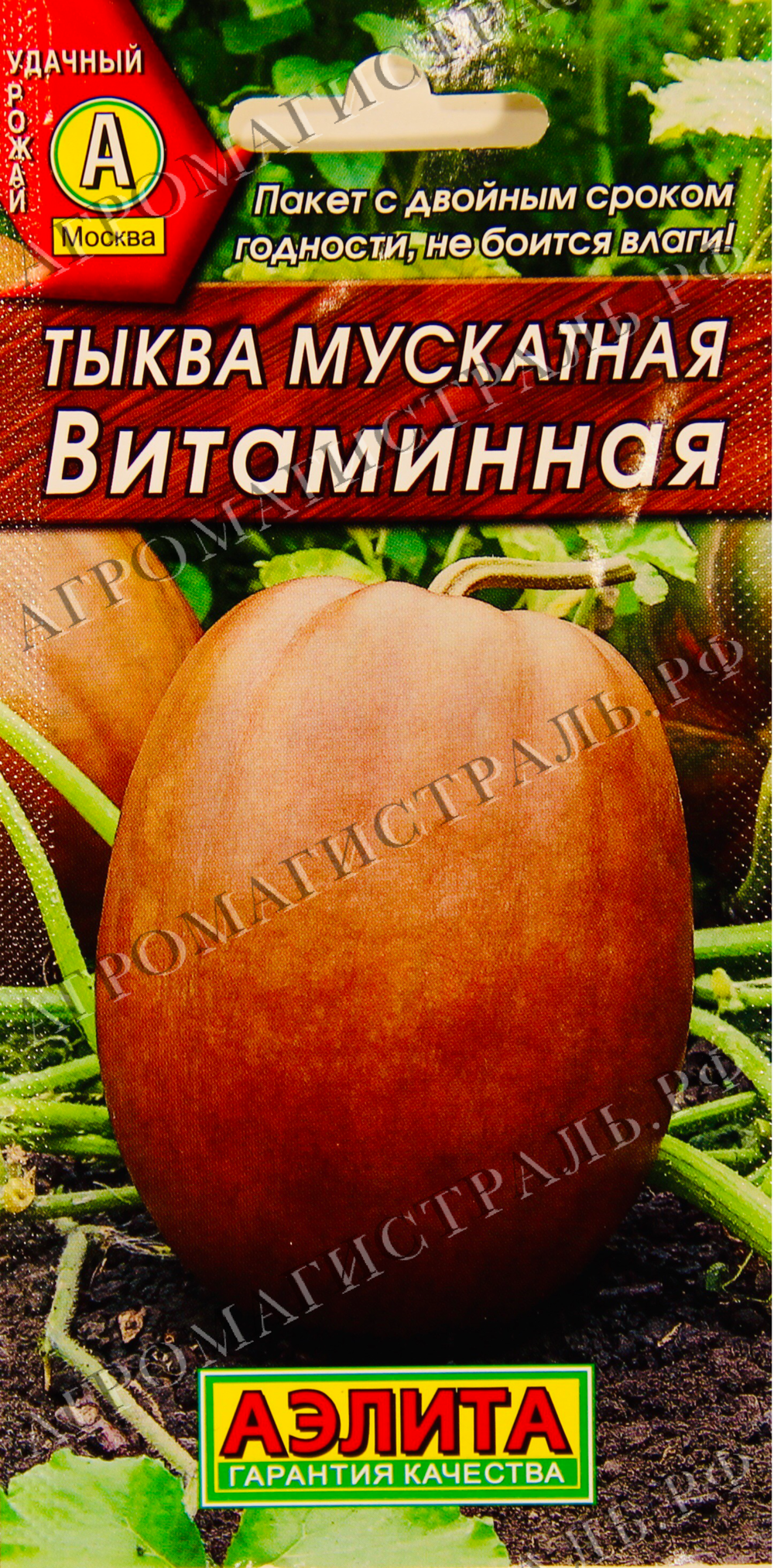 Тыква Витаминная Аэлита Ц