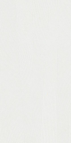 TASMANIA BLANCO 60X120 REC.