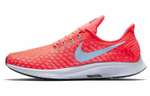 Кроссовки Nike Pegasus 35