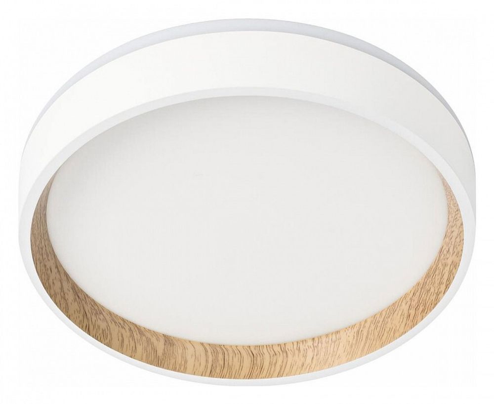 Накладной светильник Citilux Etalon CL750180