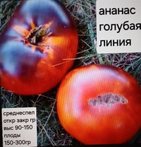 РАССАДА ОВОЩНЫХ