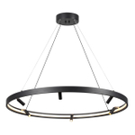 4317/93L ODL Светильник LED 100Вт 3000-6000К 220В IP20 HIGHTECH