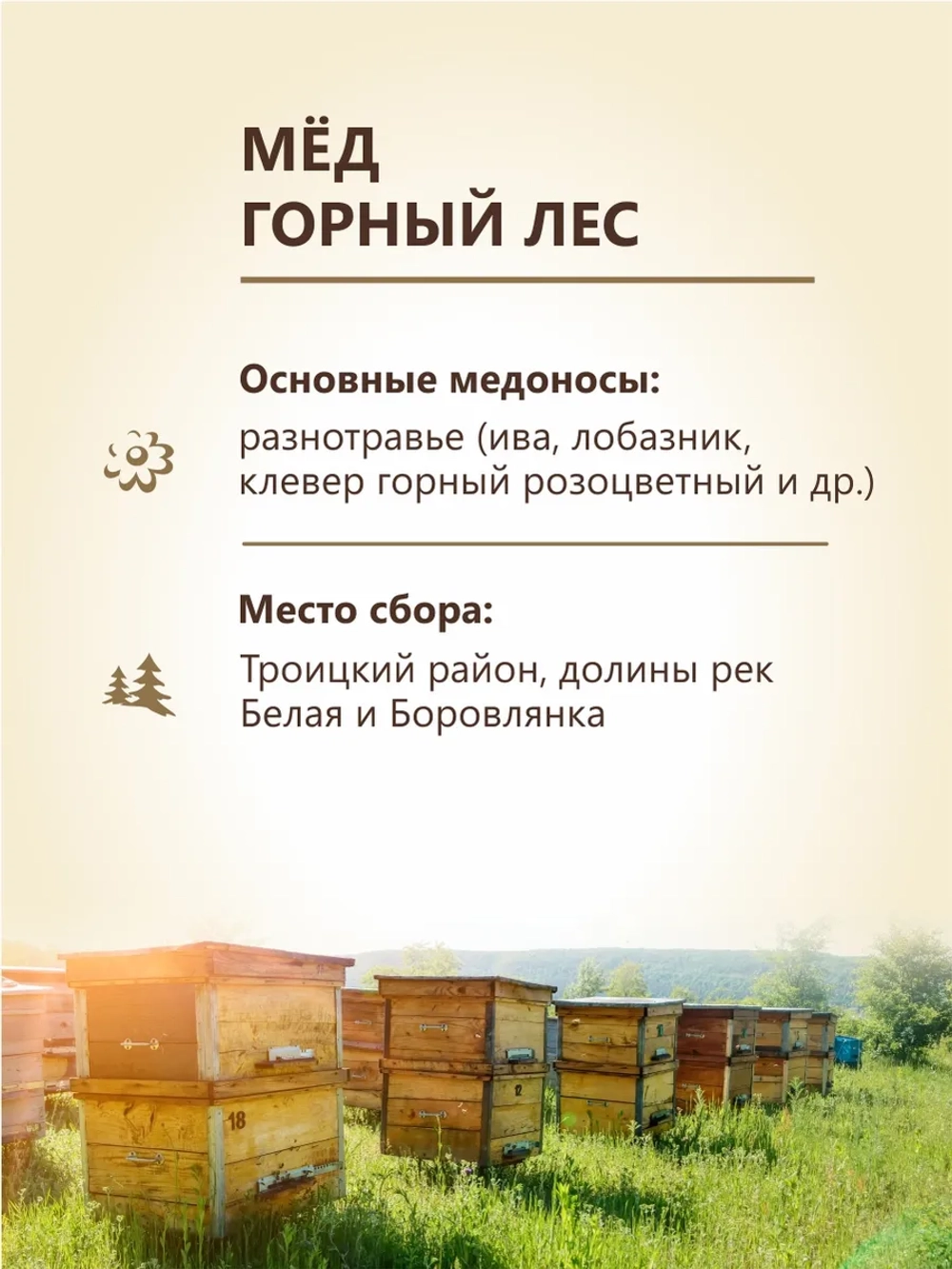 Мед натуральный ассорти 4х500 г