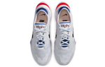 Кроссовки Nike Air Zoom Division