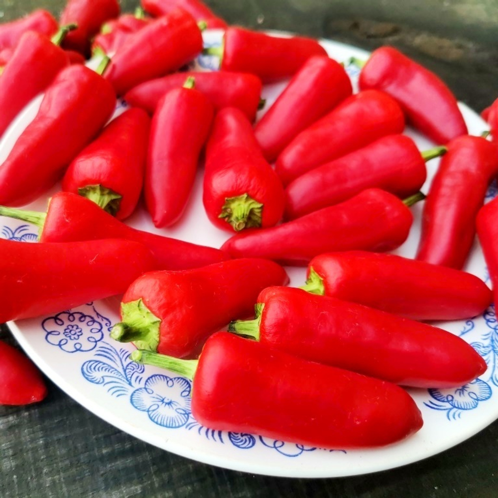 Корнишонный Перчик Сладкие Пикули - Sweet Pickle Peppers