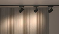 Трековый светильник для трехфазного шинопровода светодиодный Maytoni Trinity Vuoro TR029-3-30W3K-B