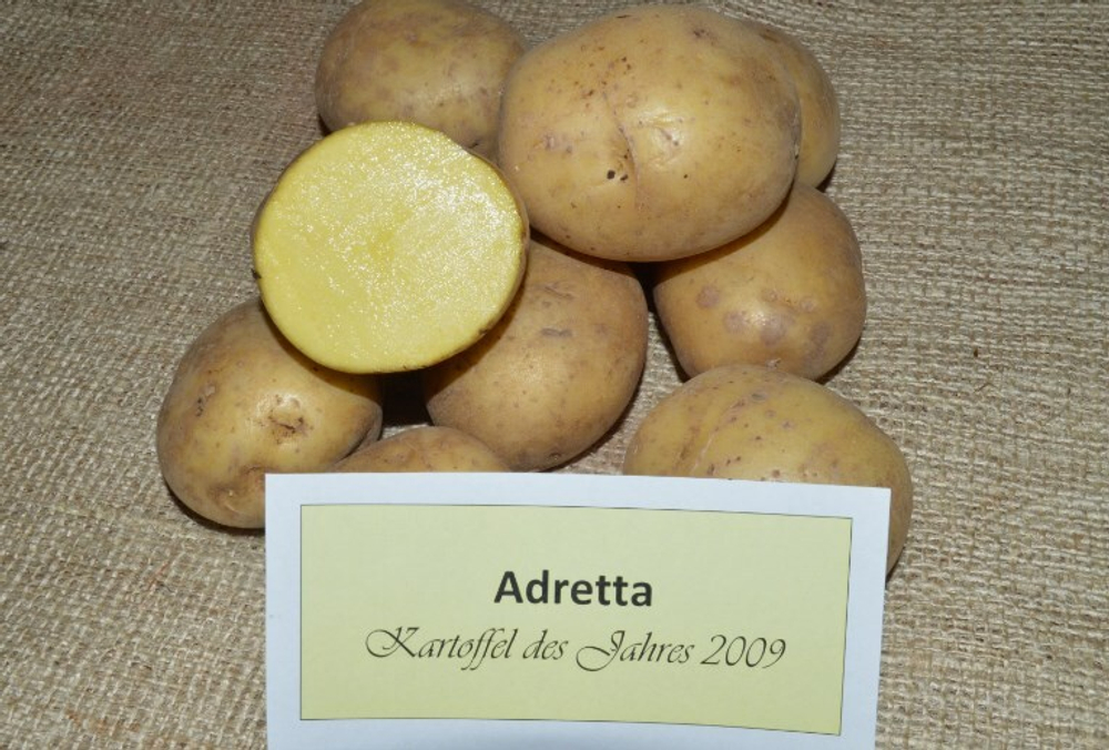 Адретта картофель, комплект из 10 клубней