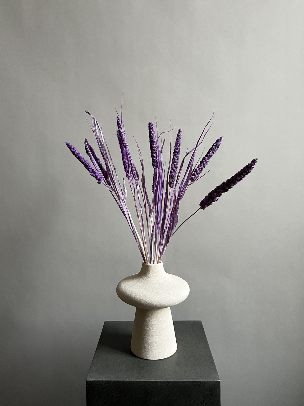 Сетария сиреневая