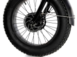 Электрический трицикл фэтбайк E-motions Panda 20 (750W 15Ah)