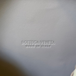 Bottega Veneta Small Loop Camera Bag