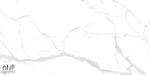 Керамогранит Statuario Ultra White NTT99512M 600*1200 полированный