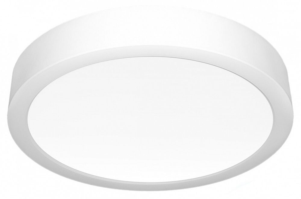 Накладной светильник Citilux Галс CL5516N