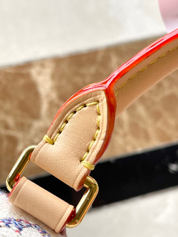 Louis Vuitton Speedy 20