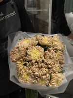 Гранд букет из кудрявой хризантемы КУПЕР