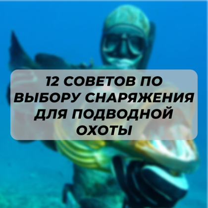 12 правил подбора снаряжения для подводной охоты