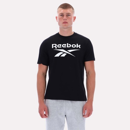 Футболка мужская REEBOK CHAD BIG LOGO CREW NECK SS TEE