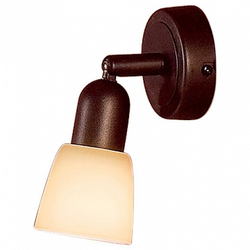 Спот Citilux CL506514