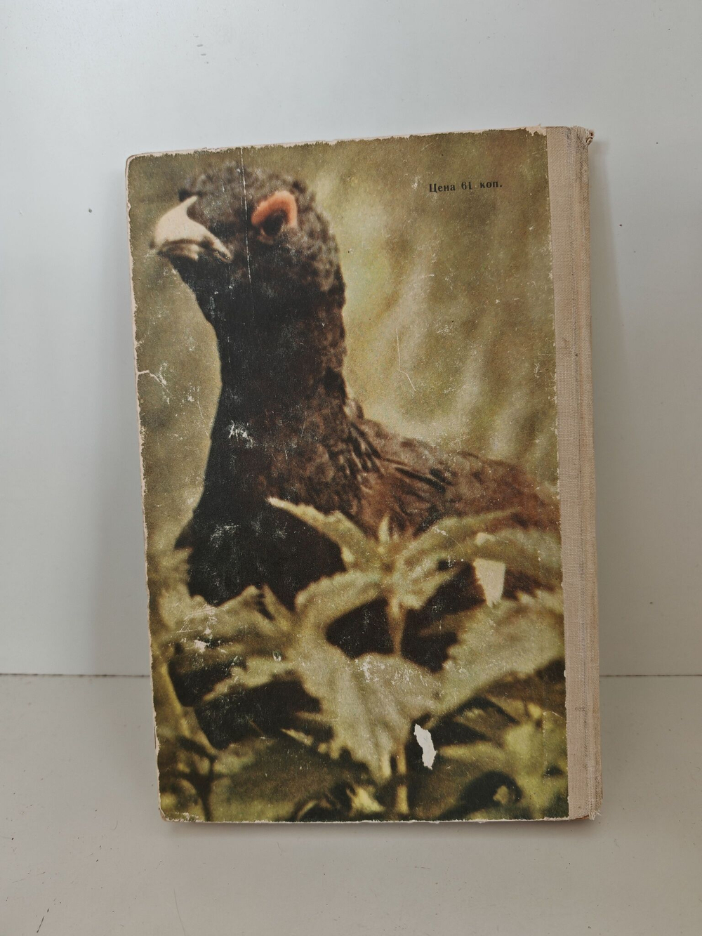 Охотничьи просторы. Книга 24