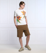 шорты Replay - хаки(M9839 .000.23040P)