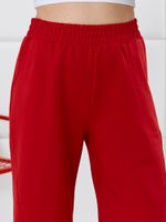 Брюки Баланс-2 Виотекс КРАСНЫЙ