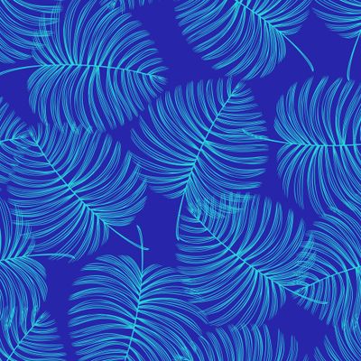 Ночная монстера