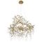 Подвесная люстра Loft IT Coral 10351/800 AB