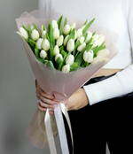 Монобукет из балоснежных , тюльпанов  33 штуки 45 см