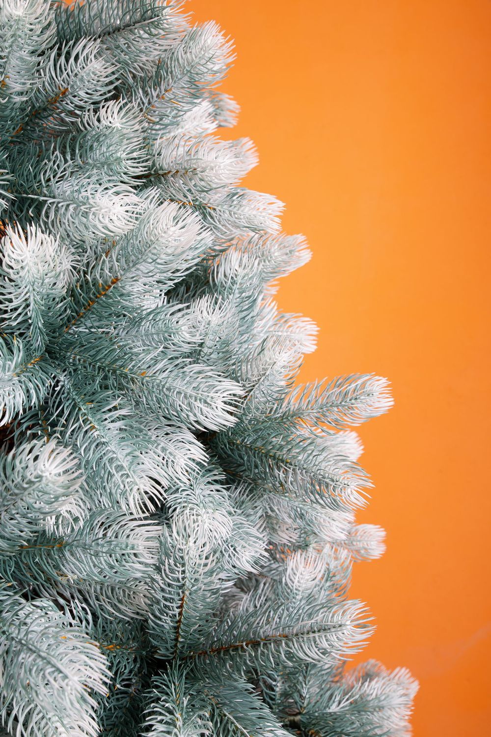 Ель искусственная «Русская Императрица голубая с белыми кончиками» (Литая хвоя) 120 см / 1,2 м