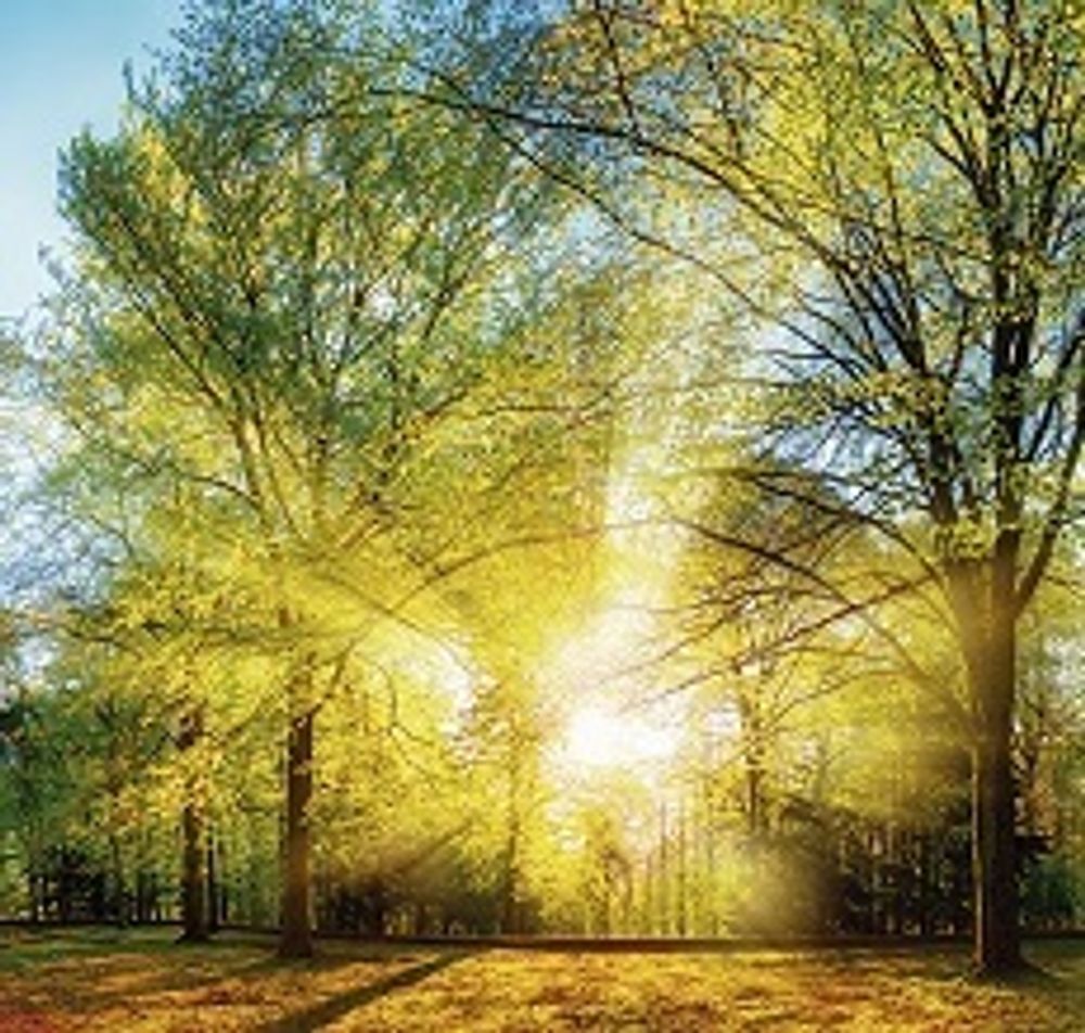 Стеновая панель 2800*610*6 (SP-212 глянец)