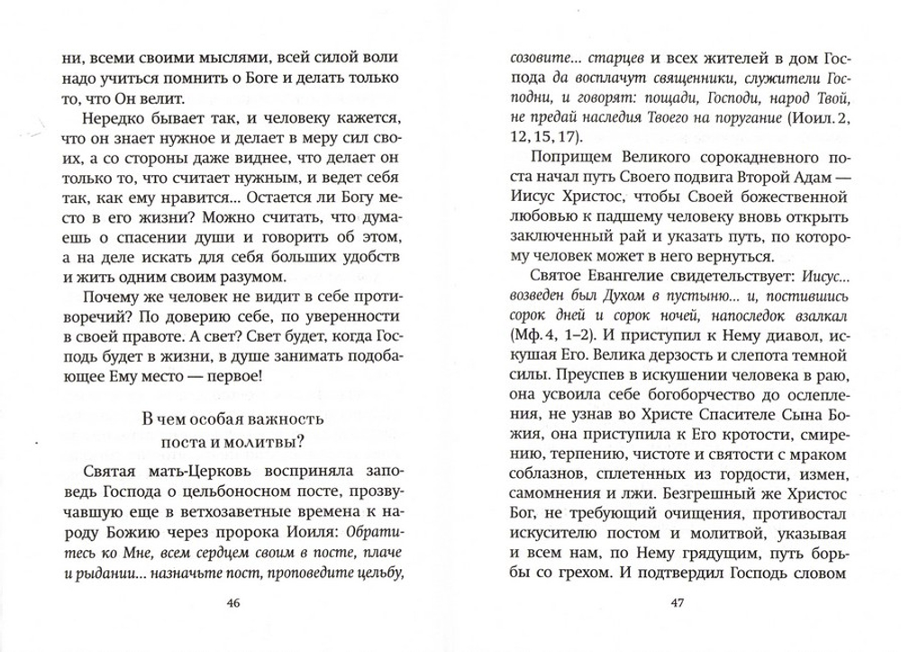 Насущные вопросы к старцу. По трудам архимандрита Иоанна (Крестьянкина)