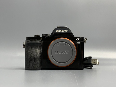 Sony A7S 47100 кадров