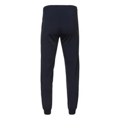 Брюки мужские, размер L, цвет тёмно-синий