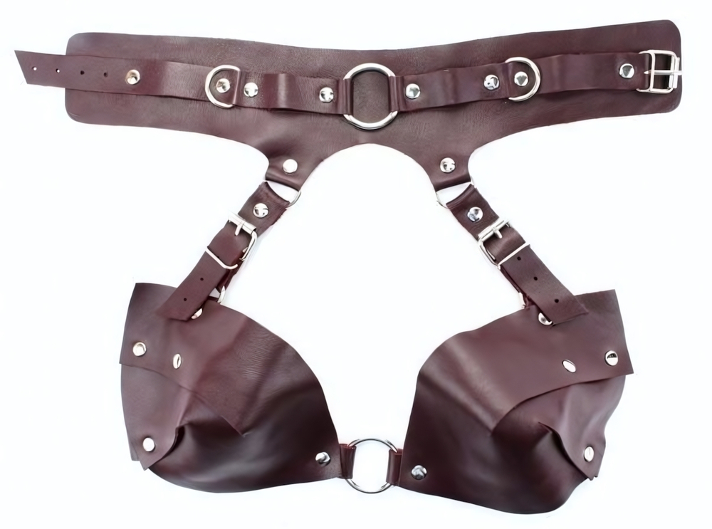 Бордовая сбруя из ошейника с лифом Maroon Harness (Размер: S-M-L) (Цвет: бордовый)