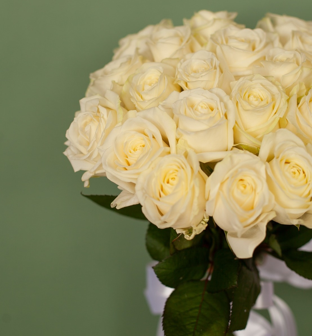 букет белых роз Россия купить в Москве онлайн недорого